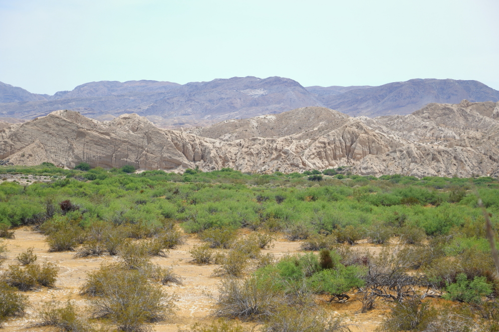Carrizo Creek Completed Trips Anza Borrego Desert