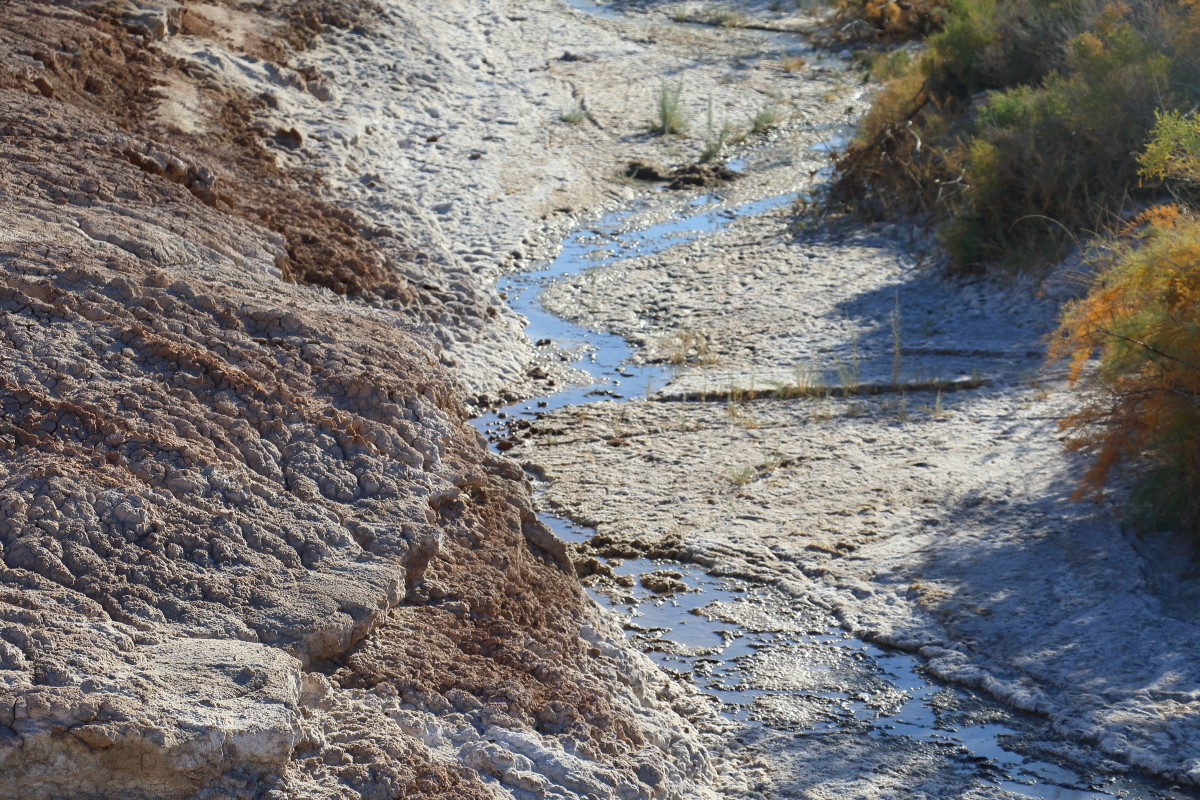 Carrizo Creek Completed Trips Anza Borrego Desert