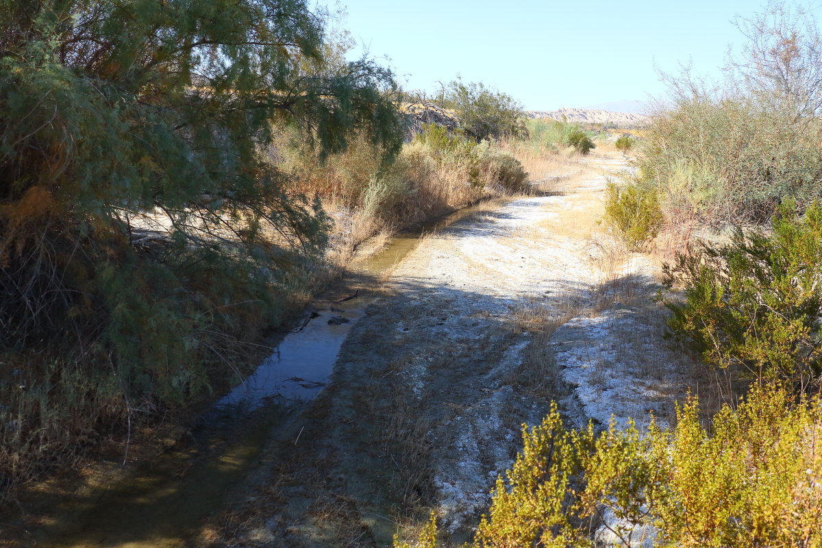 Carrizo Creek Completed Trips Anza Borrego Desert