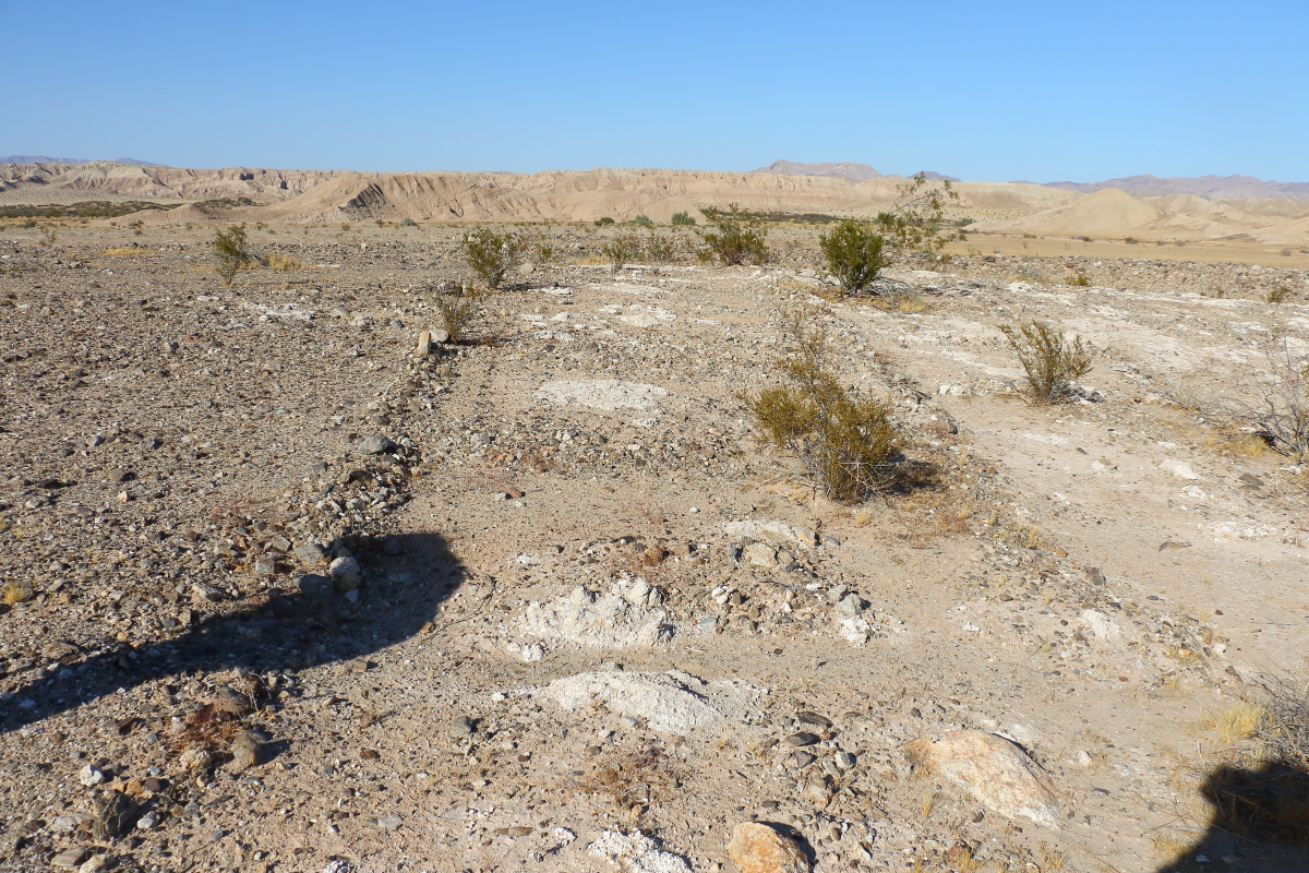Carrizo Creek Completed Trips Anza Borrego Desert