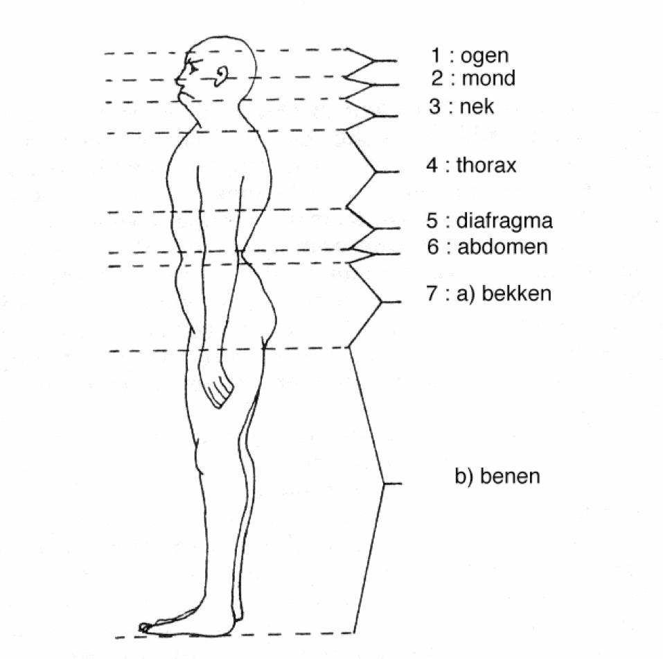 ARTICLE Postural Integration. Jack Painter, Ph.D. (1985), in English