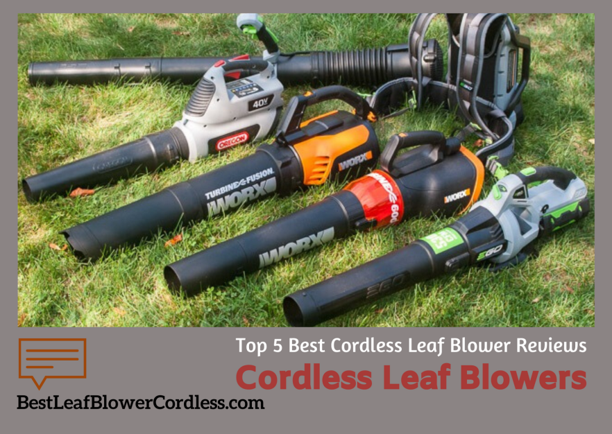 Top 5 Best Cordless Leaf Blowers IPS Inter Press Service Business