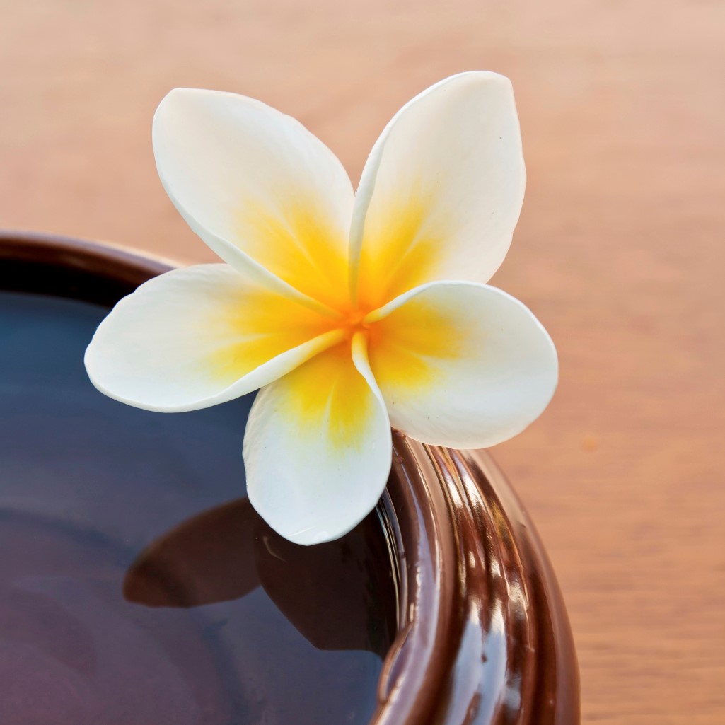 3 Types of Hawaiian Flowers and Their Meanings
