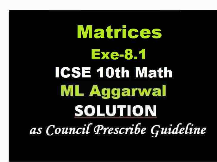 ML Aggarwal Matrices Exe8.1 Class 10 ICSE Maths Solutions ICSEHELP