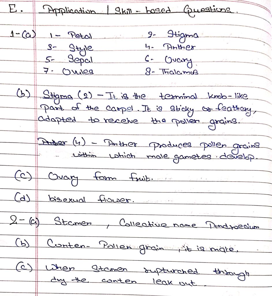Srijan Class9 Flower ICSE Biology Solutions Ch3 Page 2 of 2 ICSEHELP