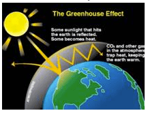 Selina Concise Chemistry Class 9 ICSE Solutions Atmospheric Pollution image - 3