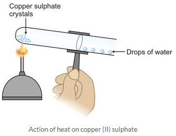 Selina Concise Chemistry Class 9 ICSE Solutions Water image - 4