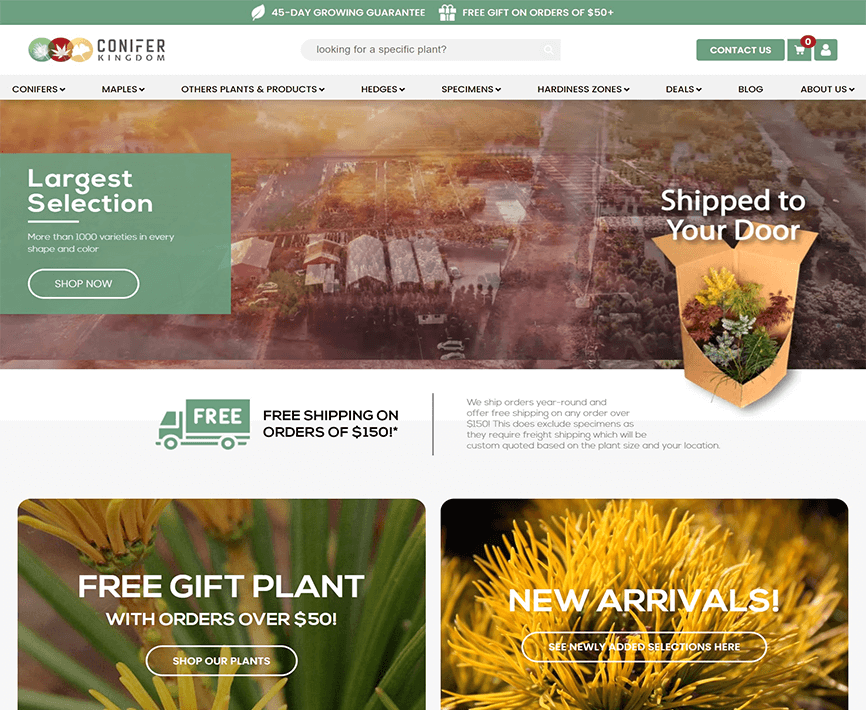 Conifer Kingdom iCubes