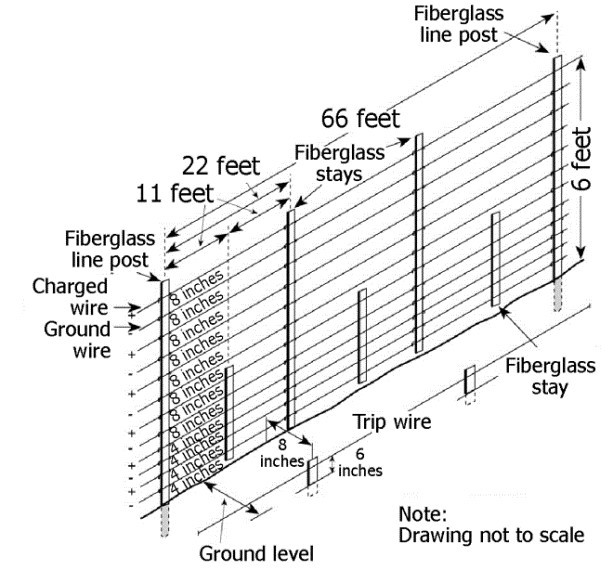 Coyote Damage Prevention and Control Methods Center for Wildlife Damage Management