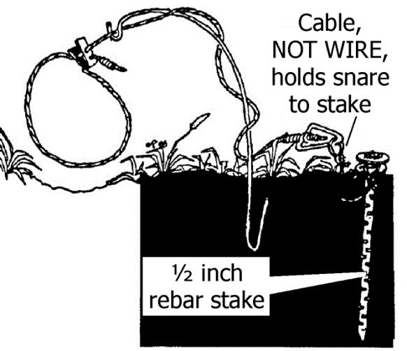 Coyote Damage Prevention and Control Methods Center for