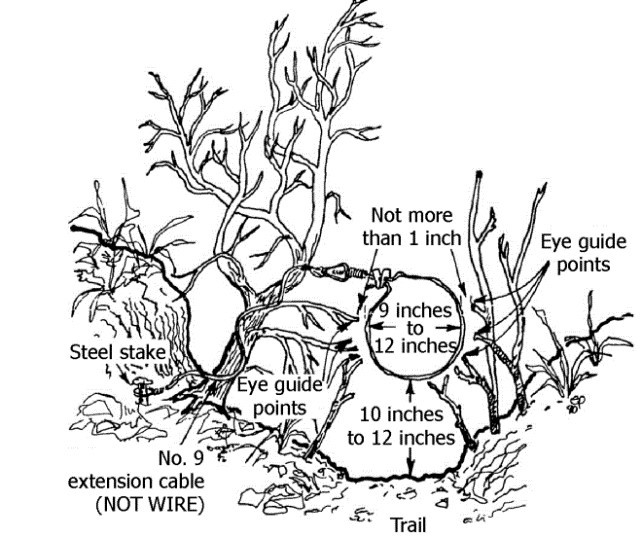 Coyote Damage Prevention and Control Methods Center for