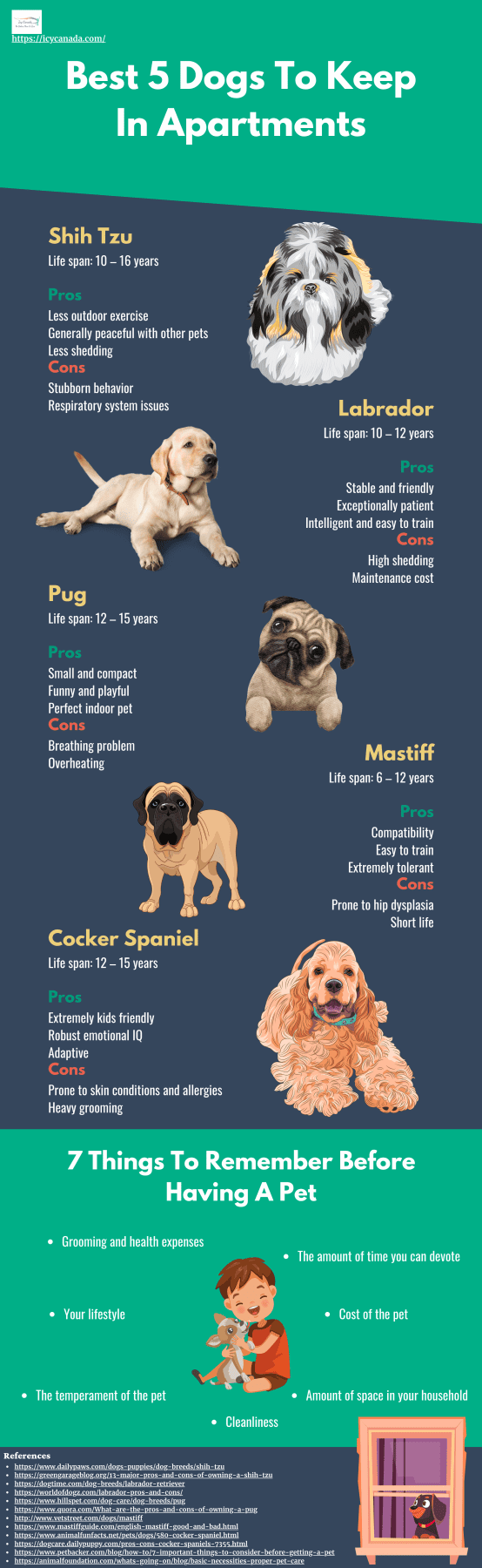 10 Best Pet Stores in Calgary