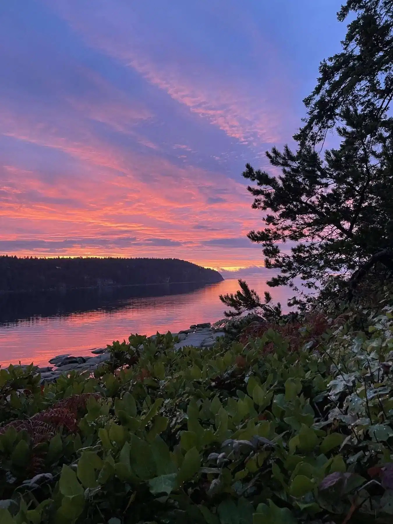 Hornby Island A Dreamy Retreat For You 2021 Icy Canada