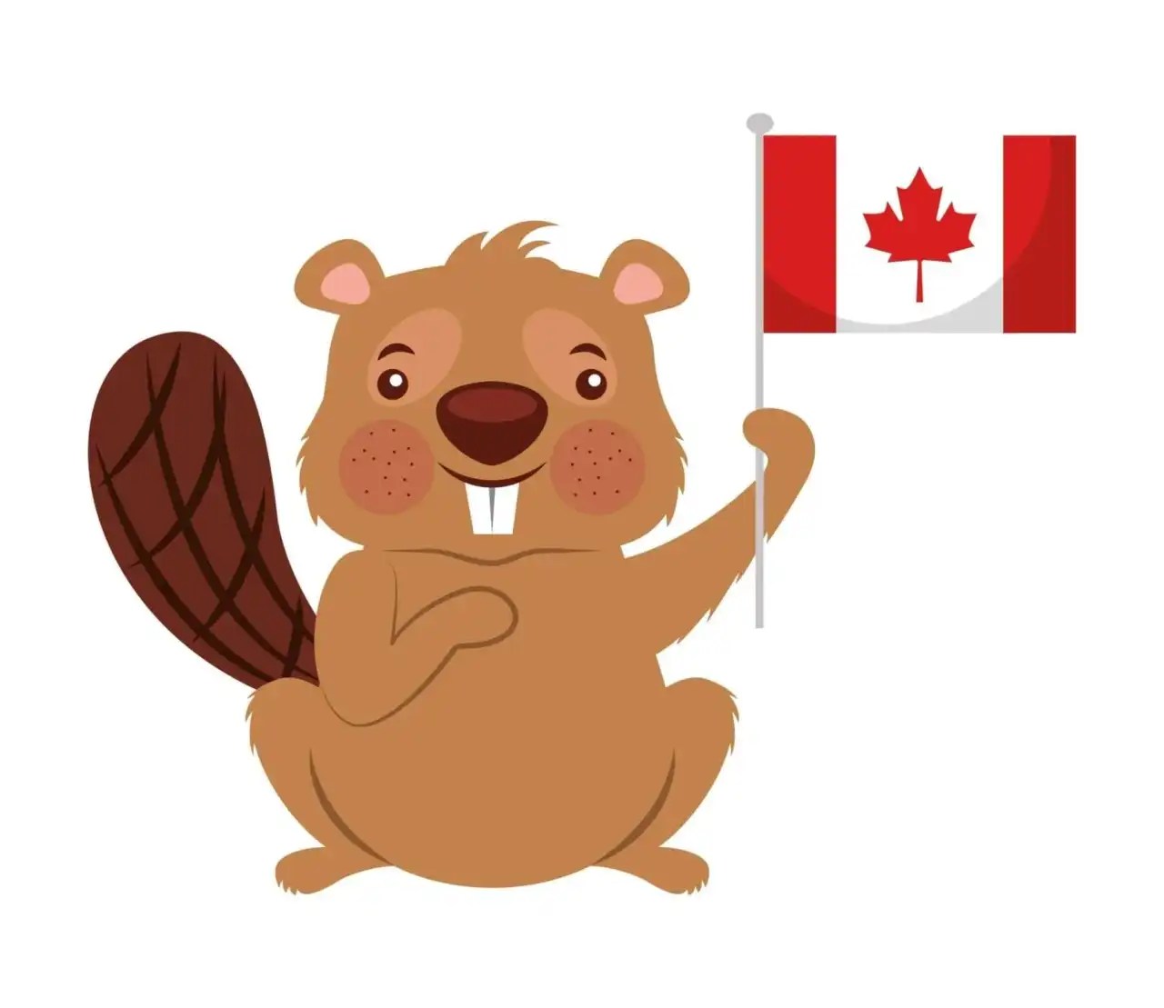 Best 101 Guide On The National Animal Of Canada Icy Canada