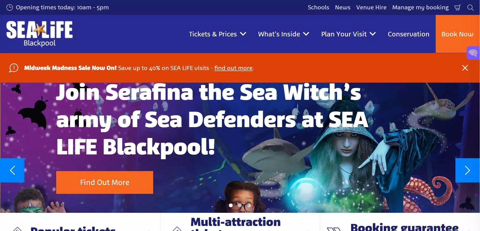 Sea Life Aquarium in Blackpool Everything You Need to Know Icy Europe