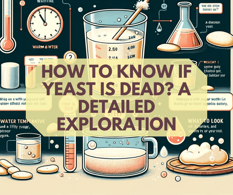 Is Your Yeast Dead? Find Out In Detail
