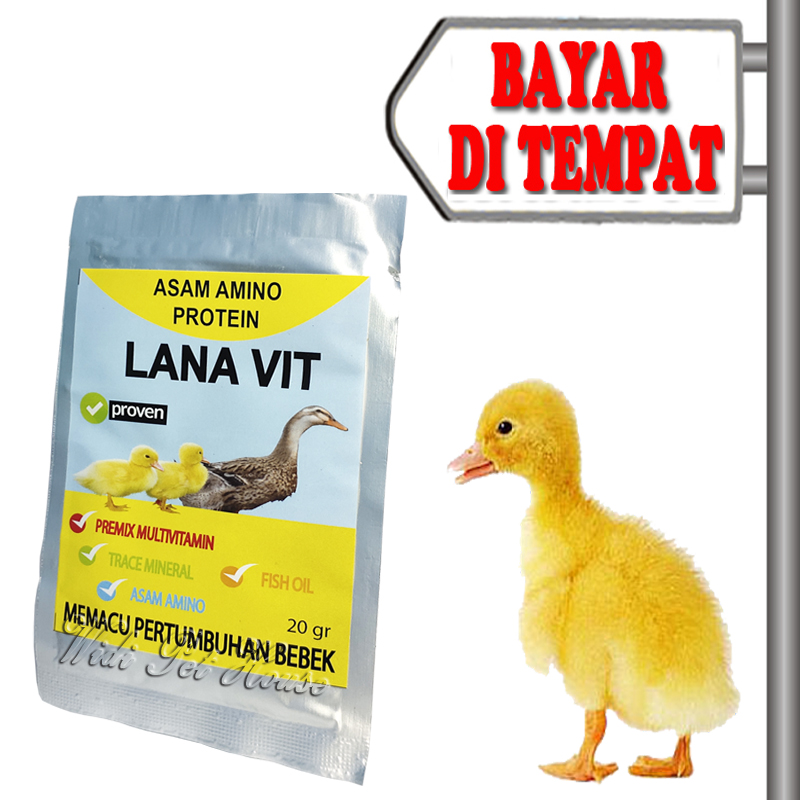 Vitamin Anak Bebek Kecil Pertumbuhan Itik Angsa Entok Lana Vit Lazada Indonesia