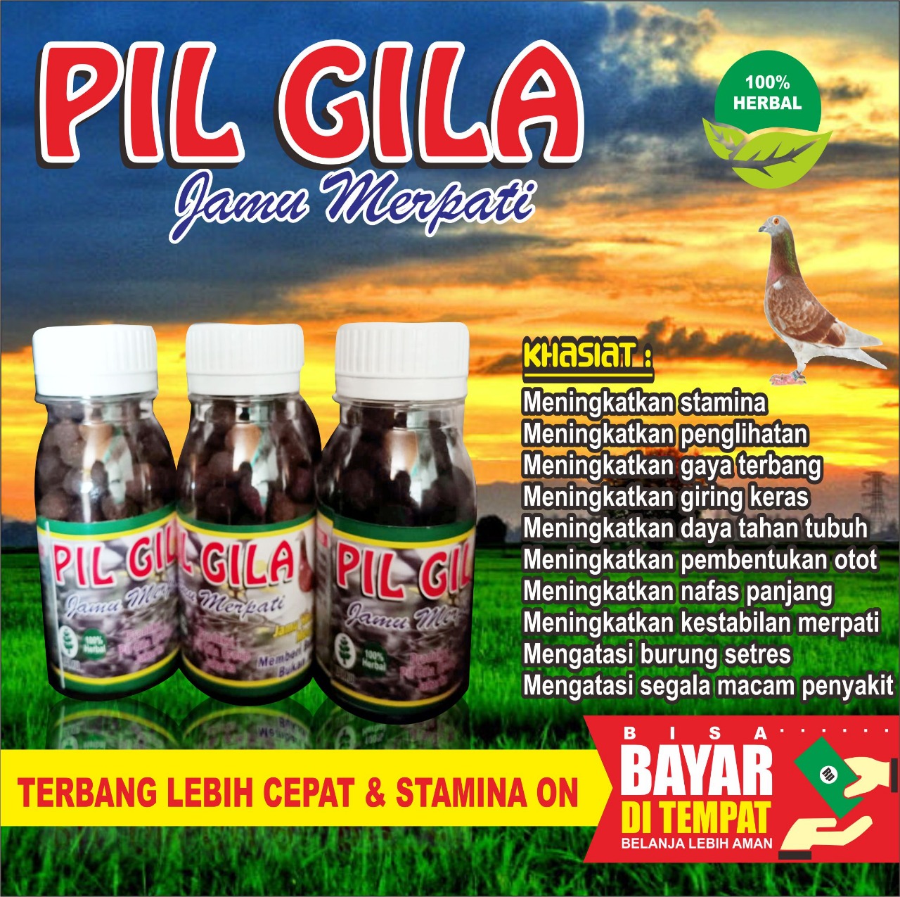 Jamu Merpati Gila Isi 100 Butir - Doping Merpati Ampuh - Jamu Herbal Merpati - Bukan Pil Edan Vitares - Raja Herbal - Stut Dor Stoot Dor - Vetafram Ring Merpati | Lazada Indonesia