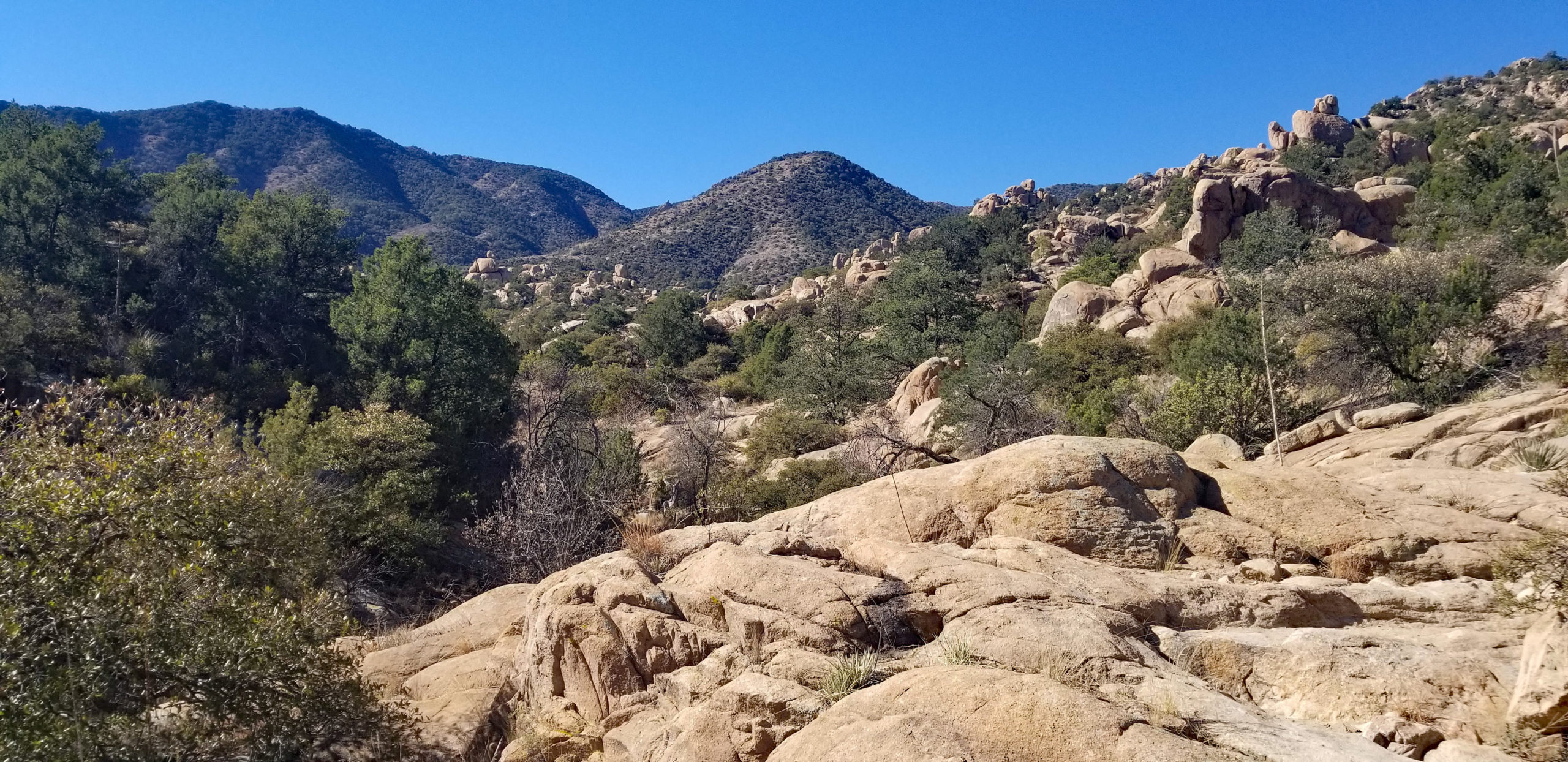 The Cochise Stronghold Trail — ID MyHorse