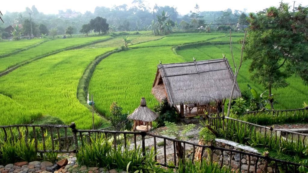 ceritakanlah keadaan lingkungan yang ada di sekitar rumah mu Brainly
