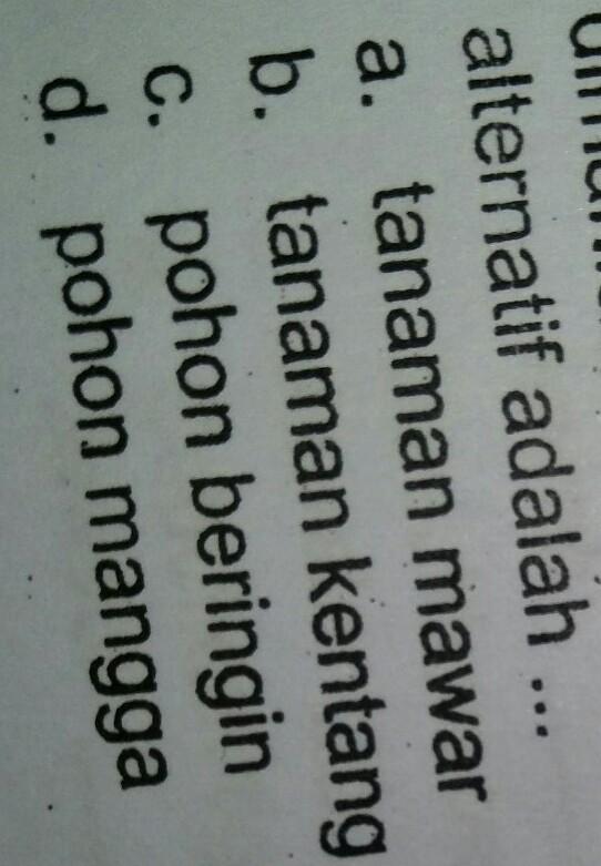 Sebutkan 7 Contoh Kilang Minyak Di Indonesia / Sebutkan Tiga Contoh