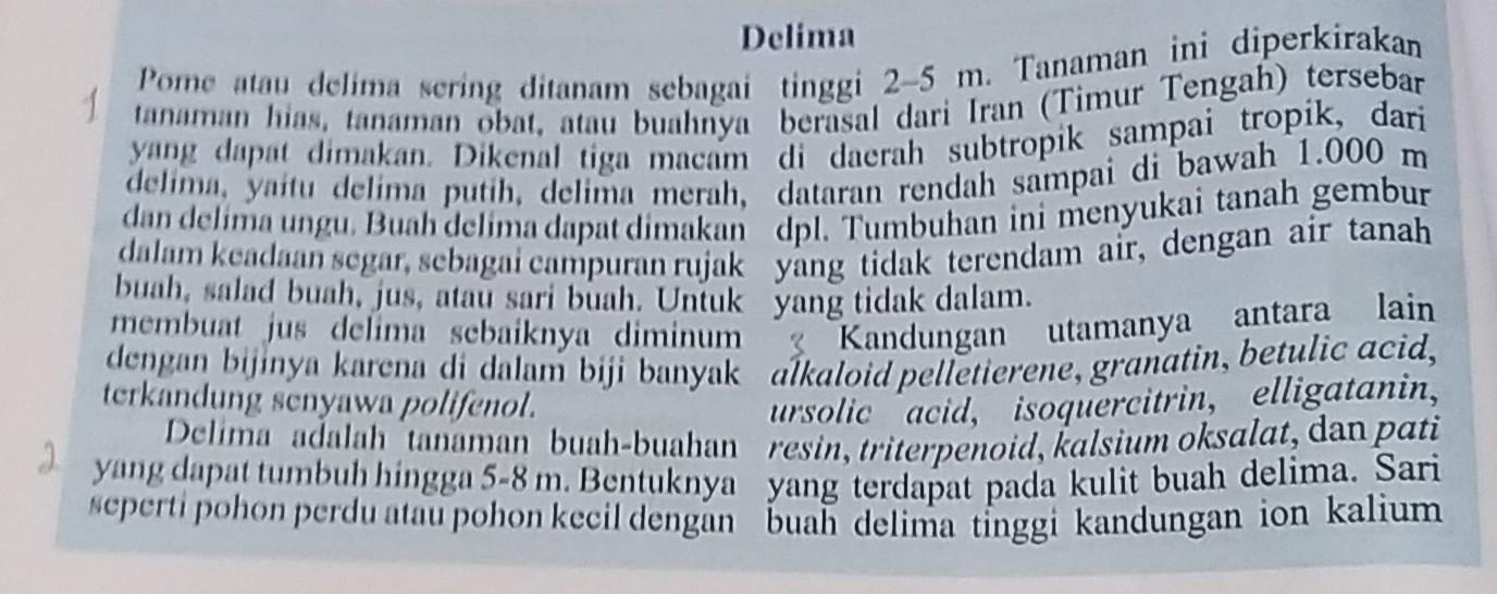 Gagasan Pokok Dan Kalimat Utama Paragraf 2 Dan 3 Brainly.co.id