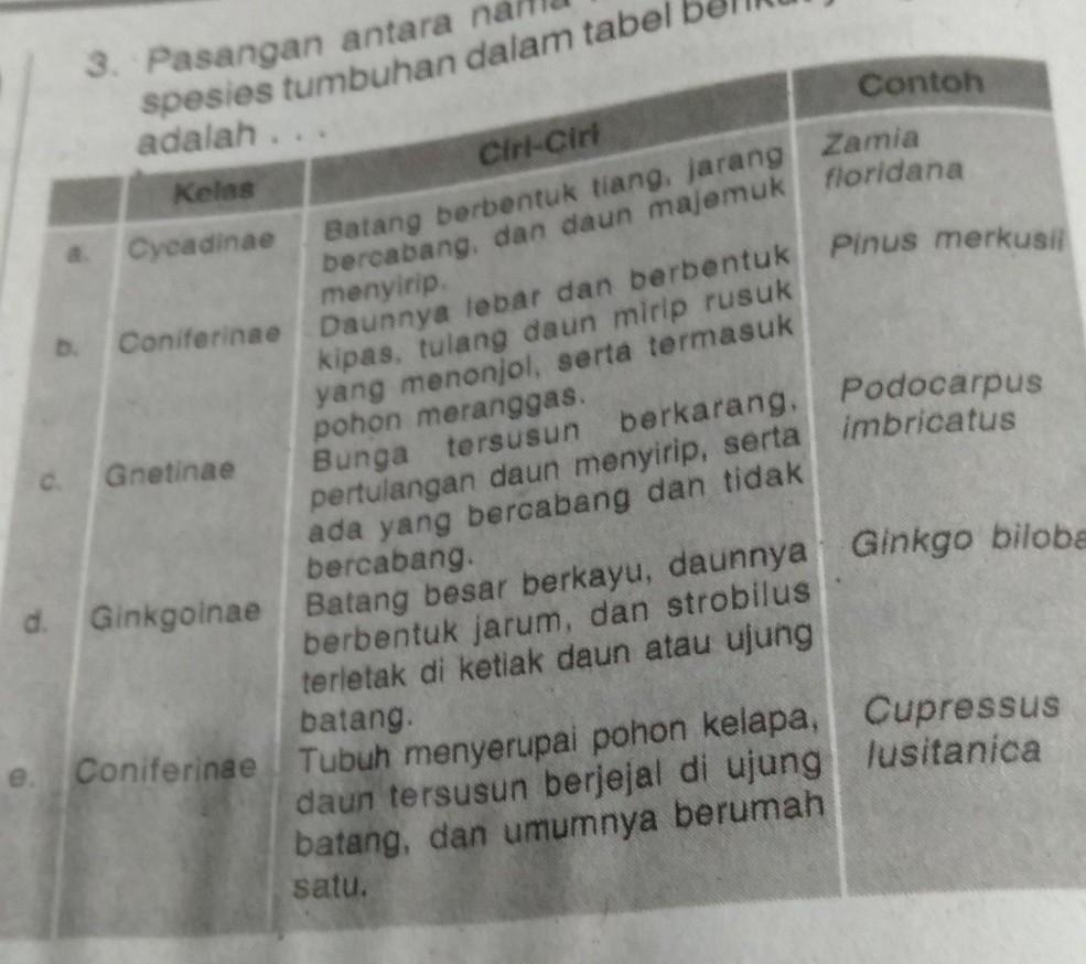 pasangan antara,nama ,kelas,ciri dan contohnya spesies tumbuhan dalam