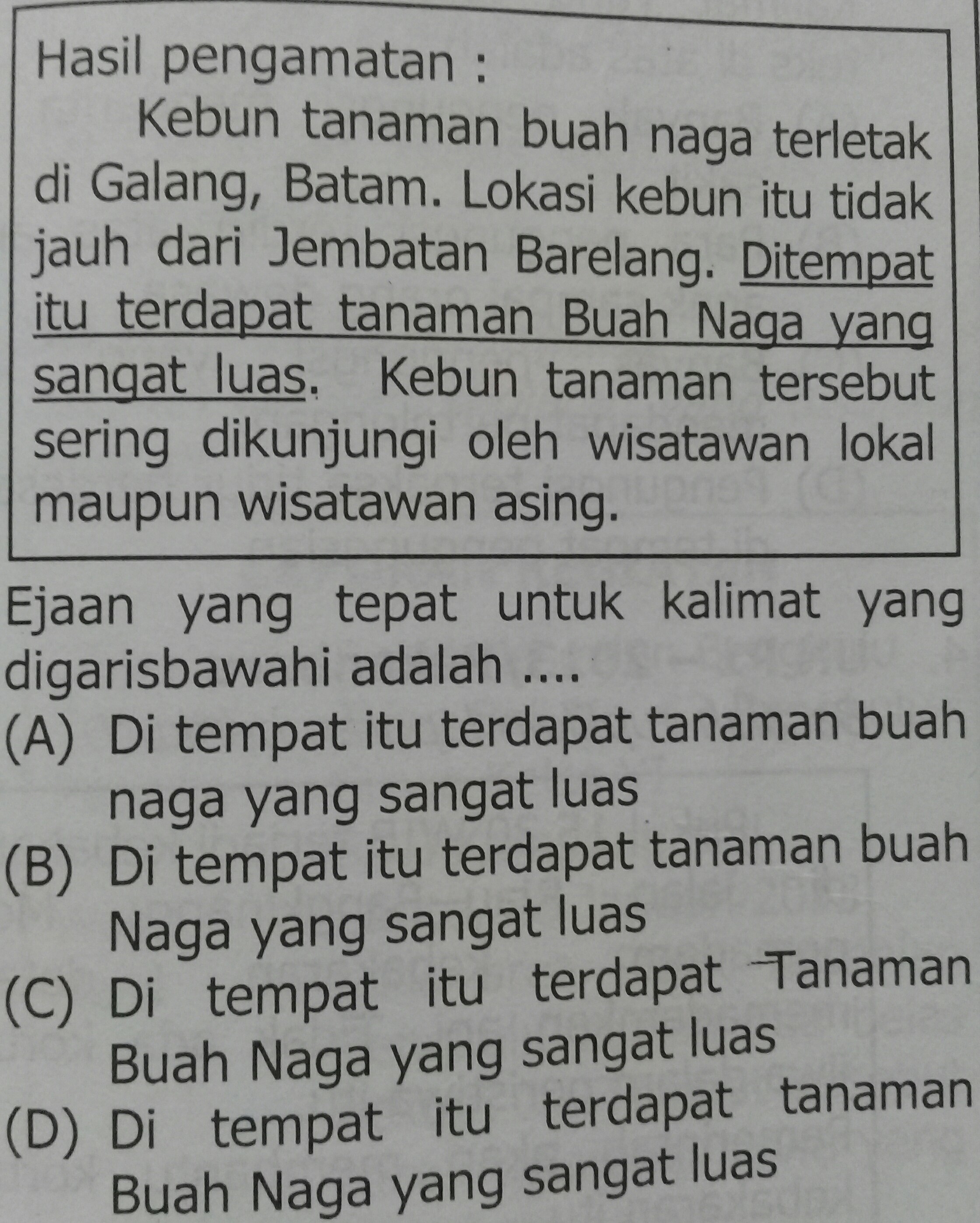 Contoh Soal Memperbaiki Kesalahan Penggunaan Ejaan Beserta
