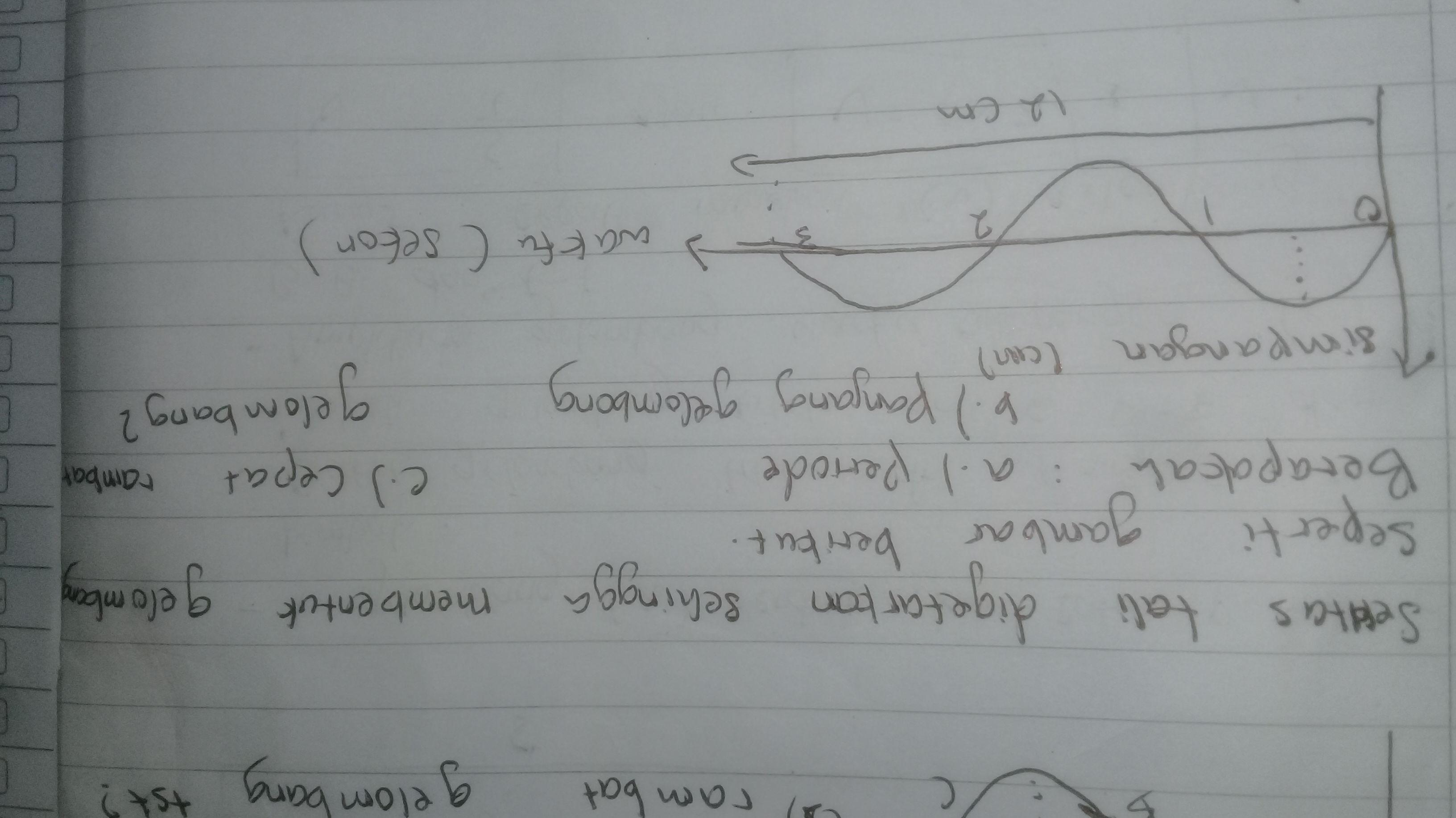 Seutas tali digetarkan sehingga membentuk gelombang seperti gambar