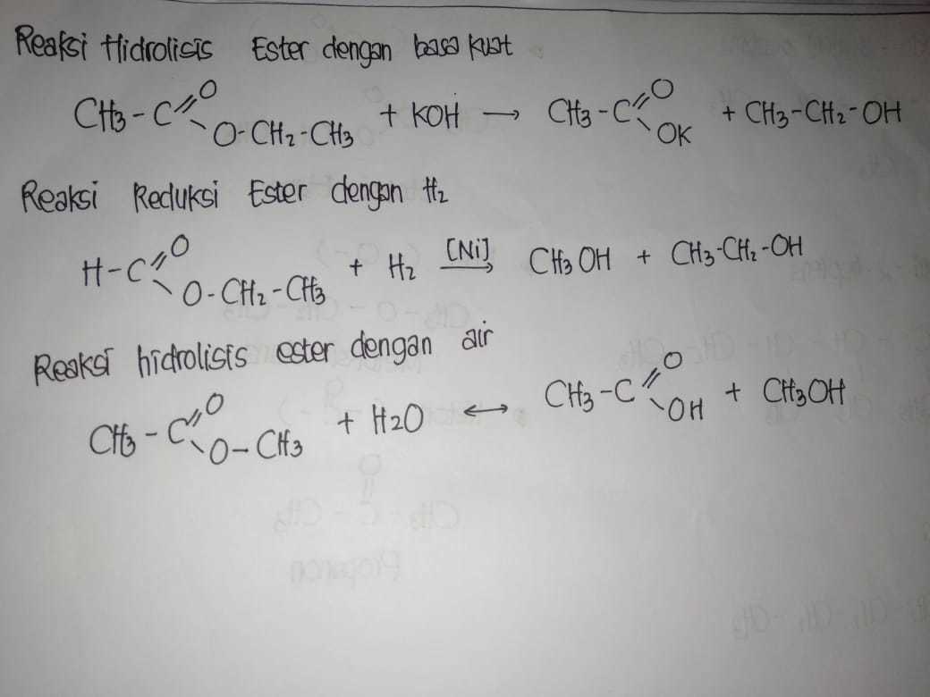 Campuran Yang Dapat Menghasilkan Ester Adalah Kondisko Rabat