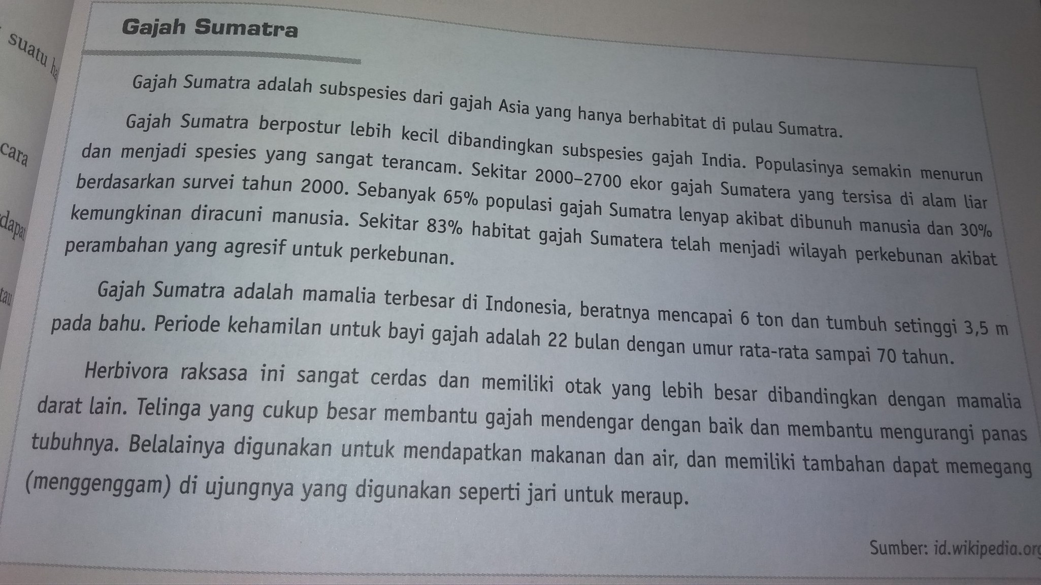Sebutkan Ciri Ciri Kebahasaan Resensi Lukisan