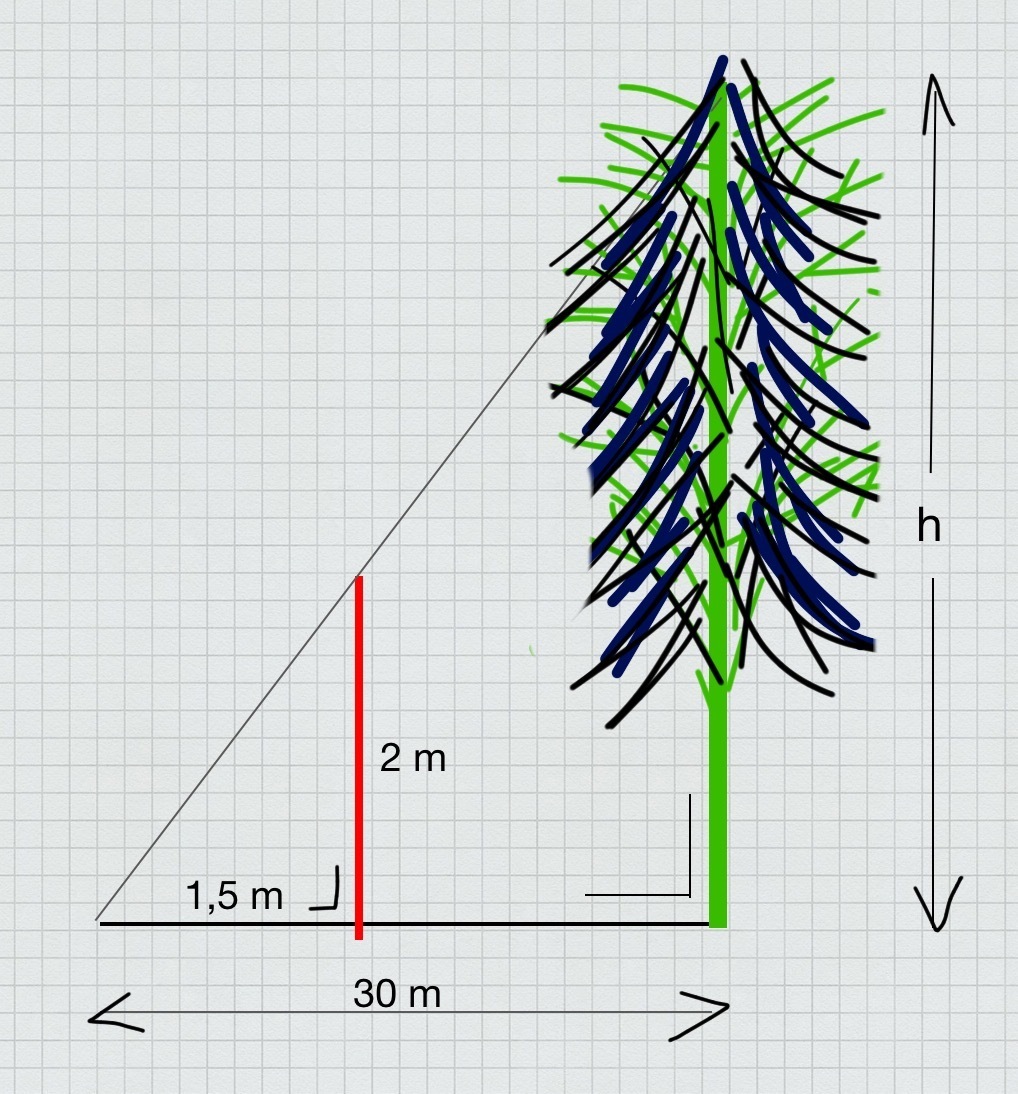 sebuah tongkat yang tingginya 2m mempunyai bayangan 1,5 m. jika pada