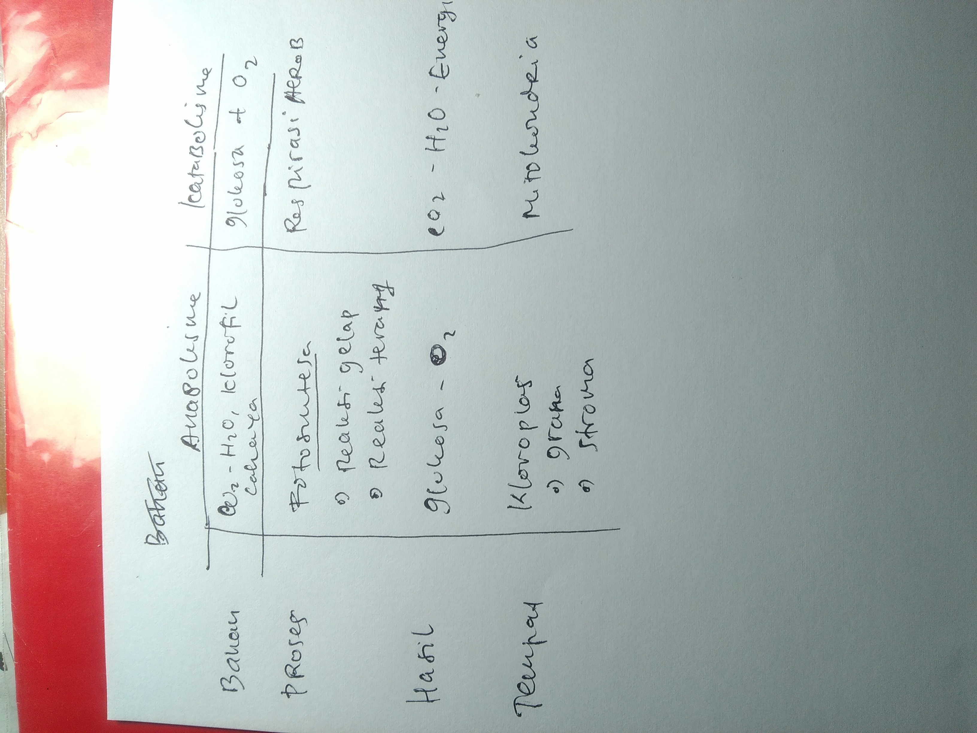 jelaskan mengenai bahan, proses ,hasil,tempat
