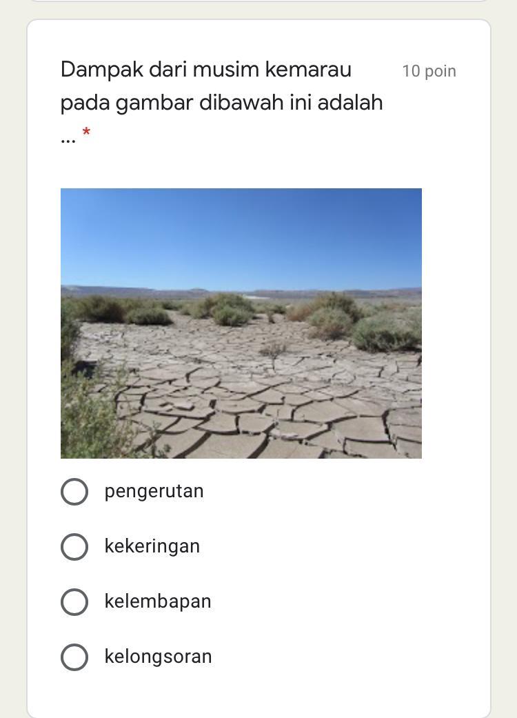 Dampak dari musim kemarau pada gambar dibawah ini adalah * A