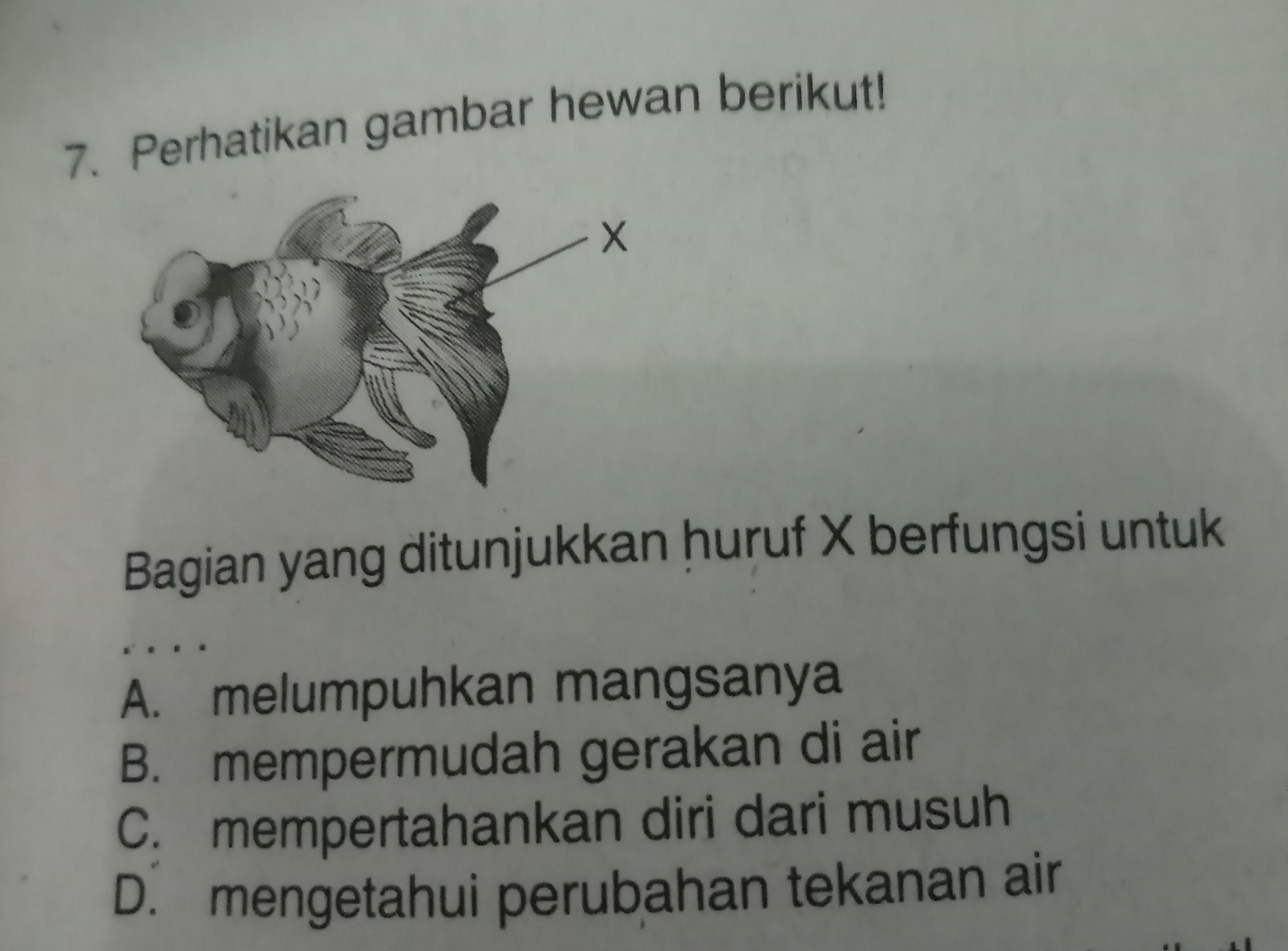 bagian yang ditunjukkan huruf x berfungsi untuk Brainly