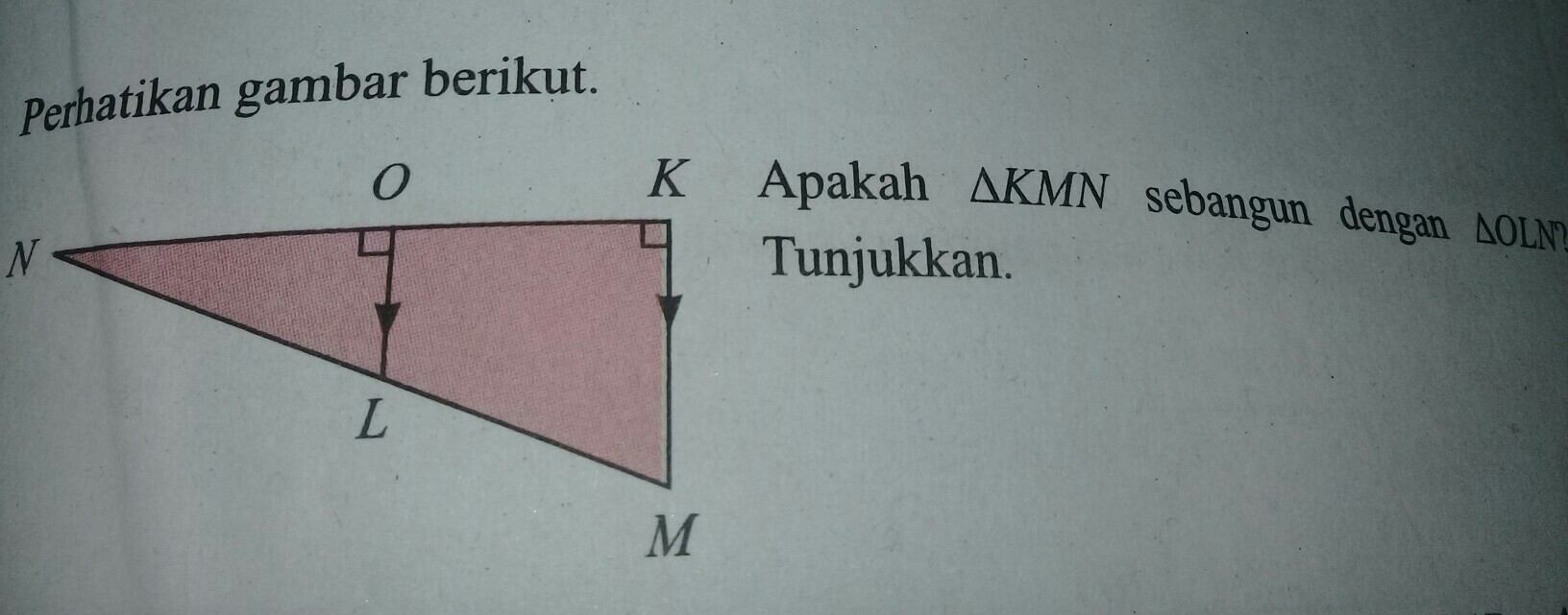 Apakah Segitiga KMN sebangun dengan segitiga OLN ? Tunjukkan Brainly