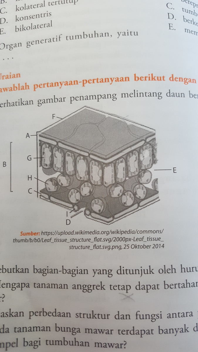 Sebutkan Dan Jelaskan Macam Macam Laporan Keuangan