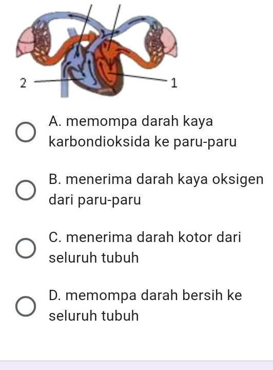 Gambar Serambi Kiri / Gambar Serambi Kanan Moa Gambar
