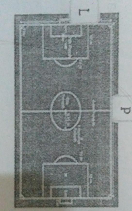 Lebar Lapangan Sepak Bola Adalah Ukuran Lapangan Sepak