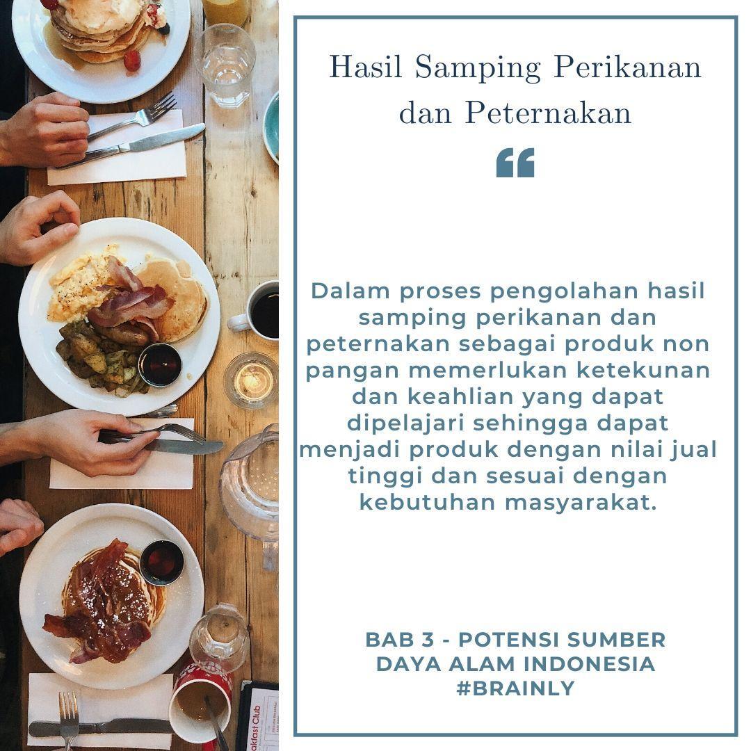 Resep Makanan Hasil Samping Peternakan Dan Perikanan
