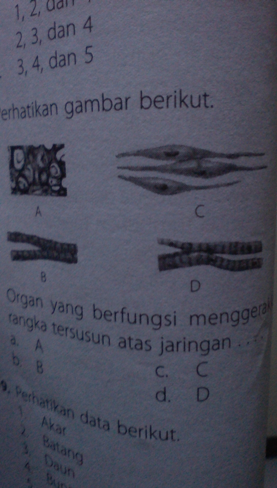 organ yg berfungsi menggerakan rangka tersusun atas jaringan.. a. Ab