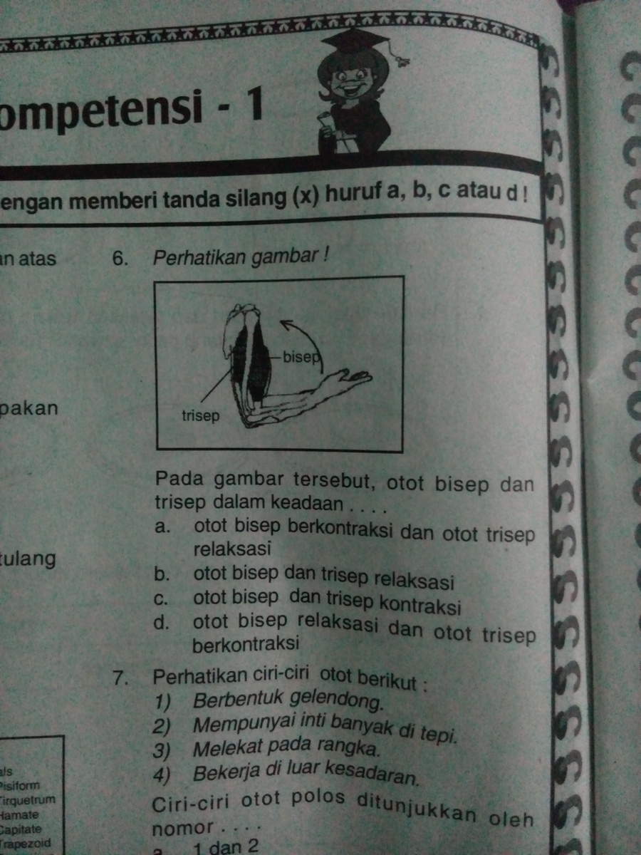 Otot Bisep Dan Trisep