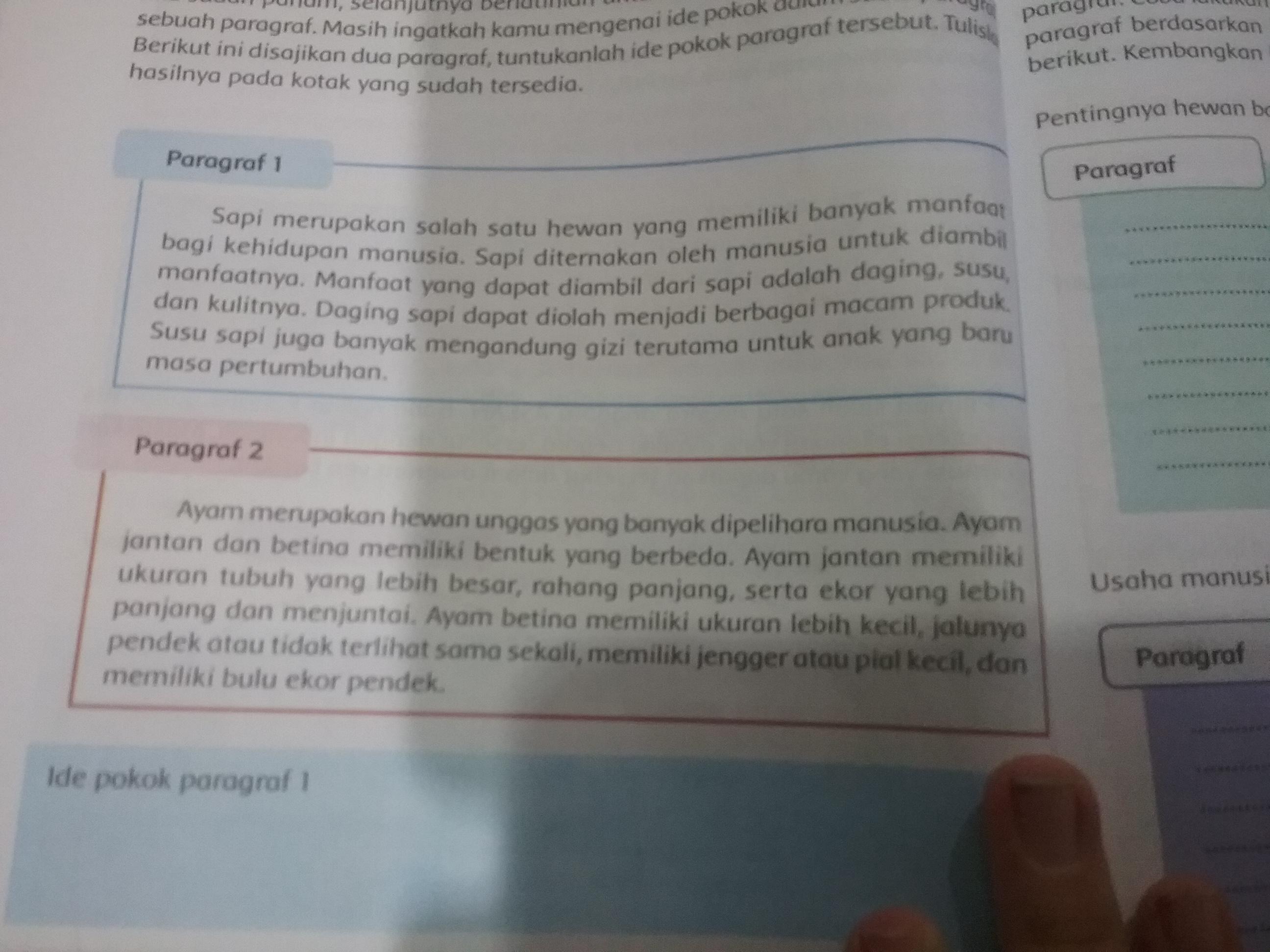 Apa ide pokok dari kedua pargraf ini lalu ubahkan ide