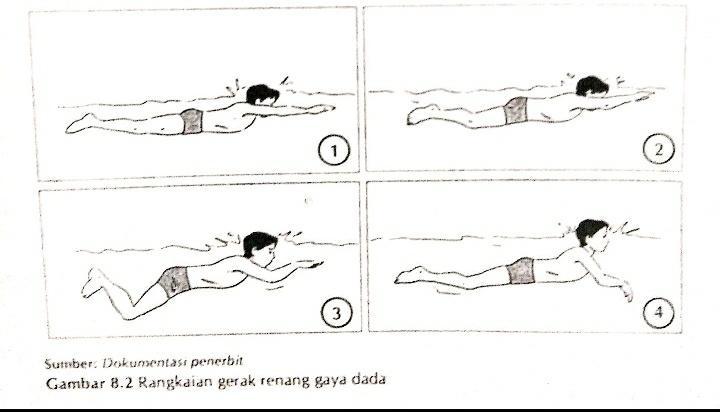 Jelaskan rangkaian gerak renang gaya dada, pada gambar di bawah ini