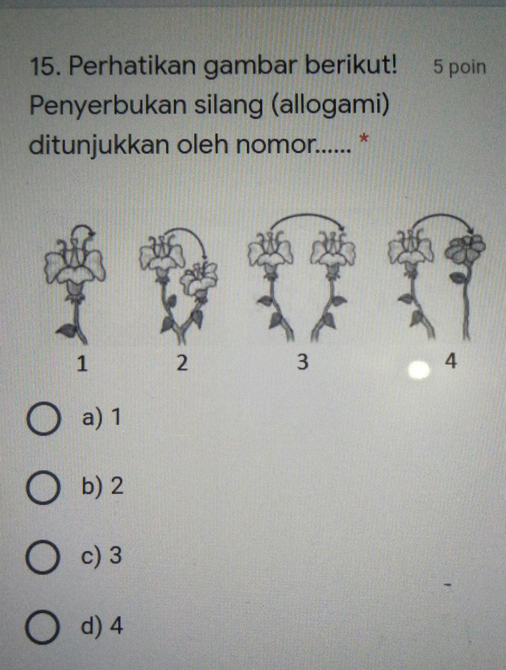 Perhatikan gambar berikut Penyerbukan silang (allogami) ditunjukkan