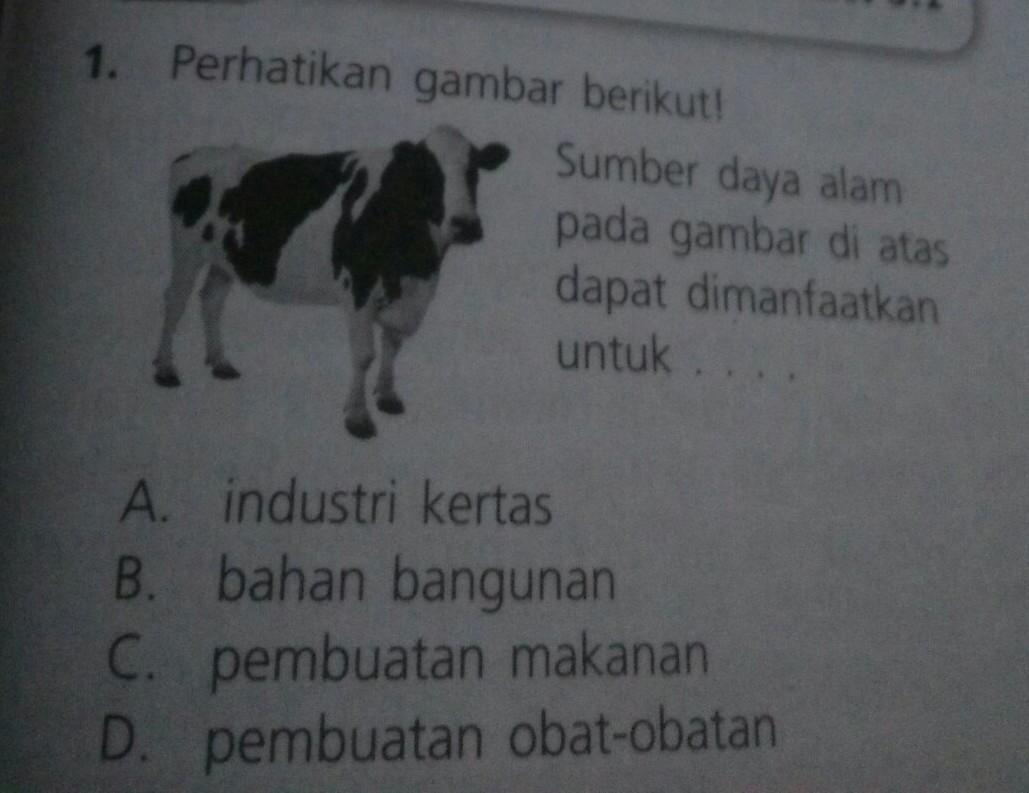 Sumber Daya Alam Yang Banyak Digunakan Untuk Bahan