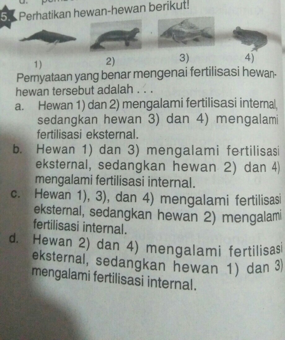 Pernyataan yang benar mengenai fertilisasi Blog Ilmu Pengetahuan