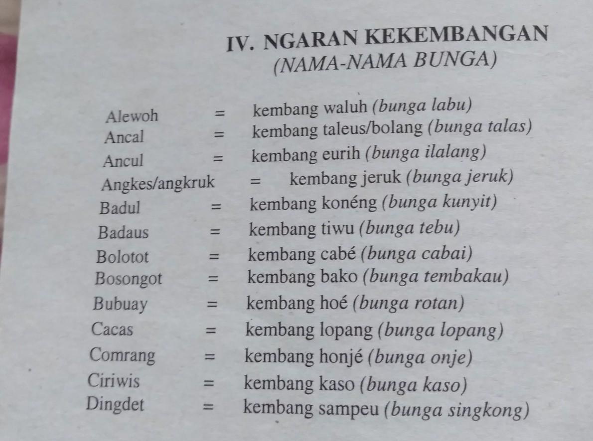 Ngaran Ngaran Kekembangan Kumpulan Kunci Jawaban Buku