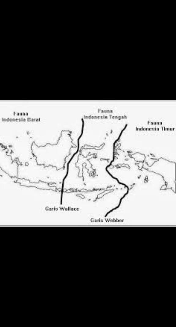 11. Perhatikan peta Indonesia berikut ini!Garis yang