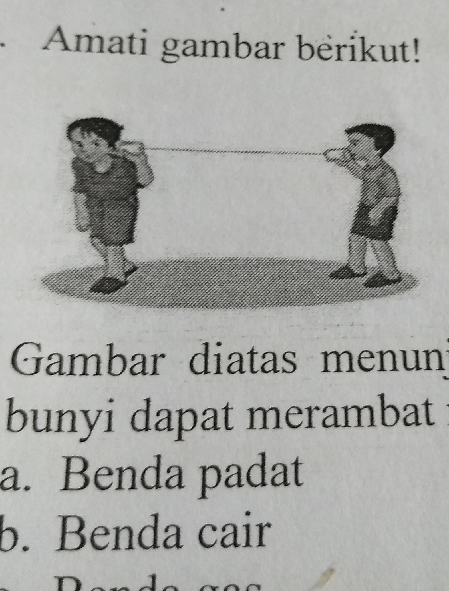 Contoh Benda Yang Bisa Memantulkan Bunyi Raja Ilmu